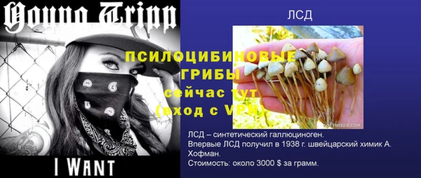 прущая мука Баксан