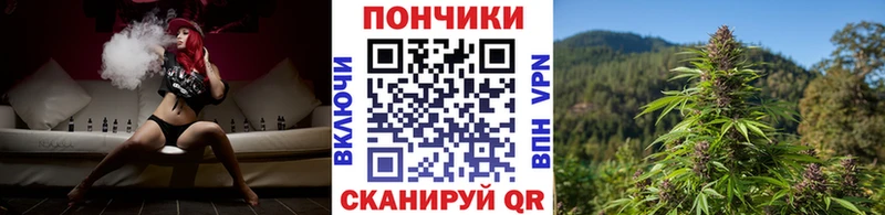 закладки Боготол Бошки Шишки конопля